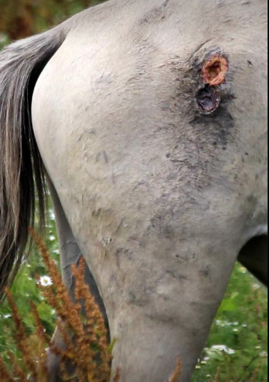 Schermafbeelding 2018-07-30 om 21.53.41.png