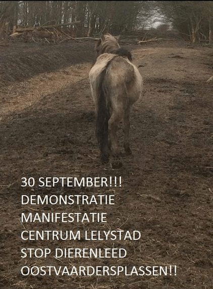 Schermafbeelding 2018-09-07 om 14.20.44.png